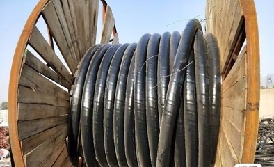 10-600伏电力电缆 现代电力传输的基石